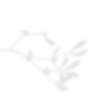 Sesión inicial · Sesión inicial integradora